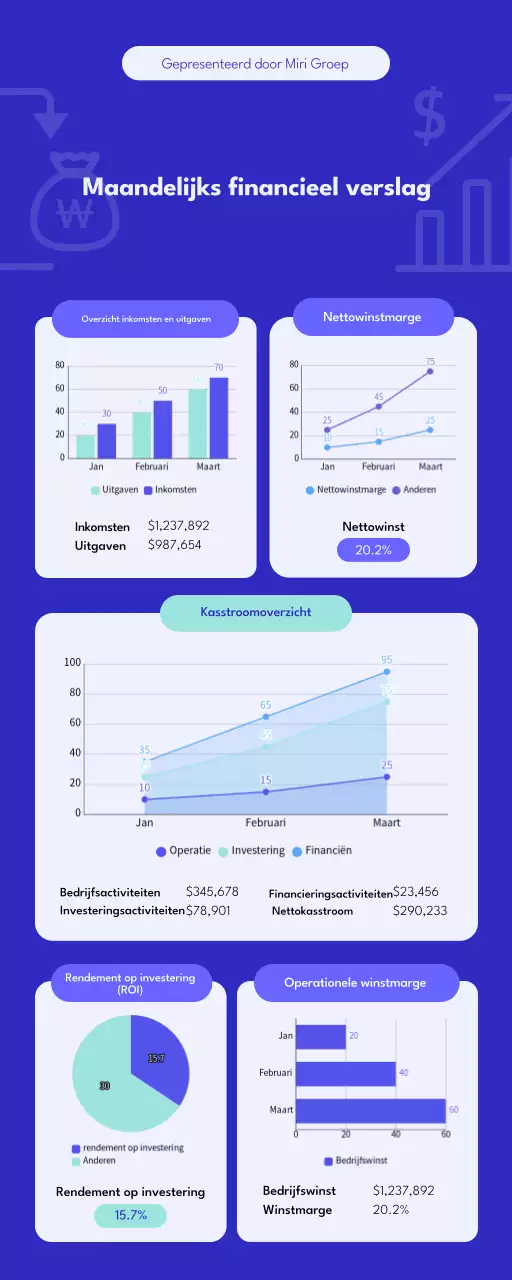 Blauw-wit financieel maandrapport Infographic