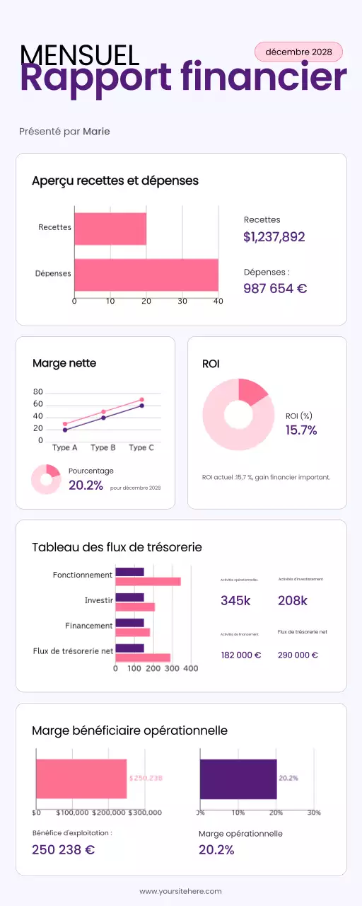 Rapport financier de Purple Modern