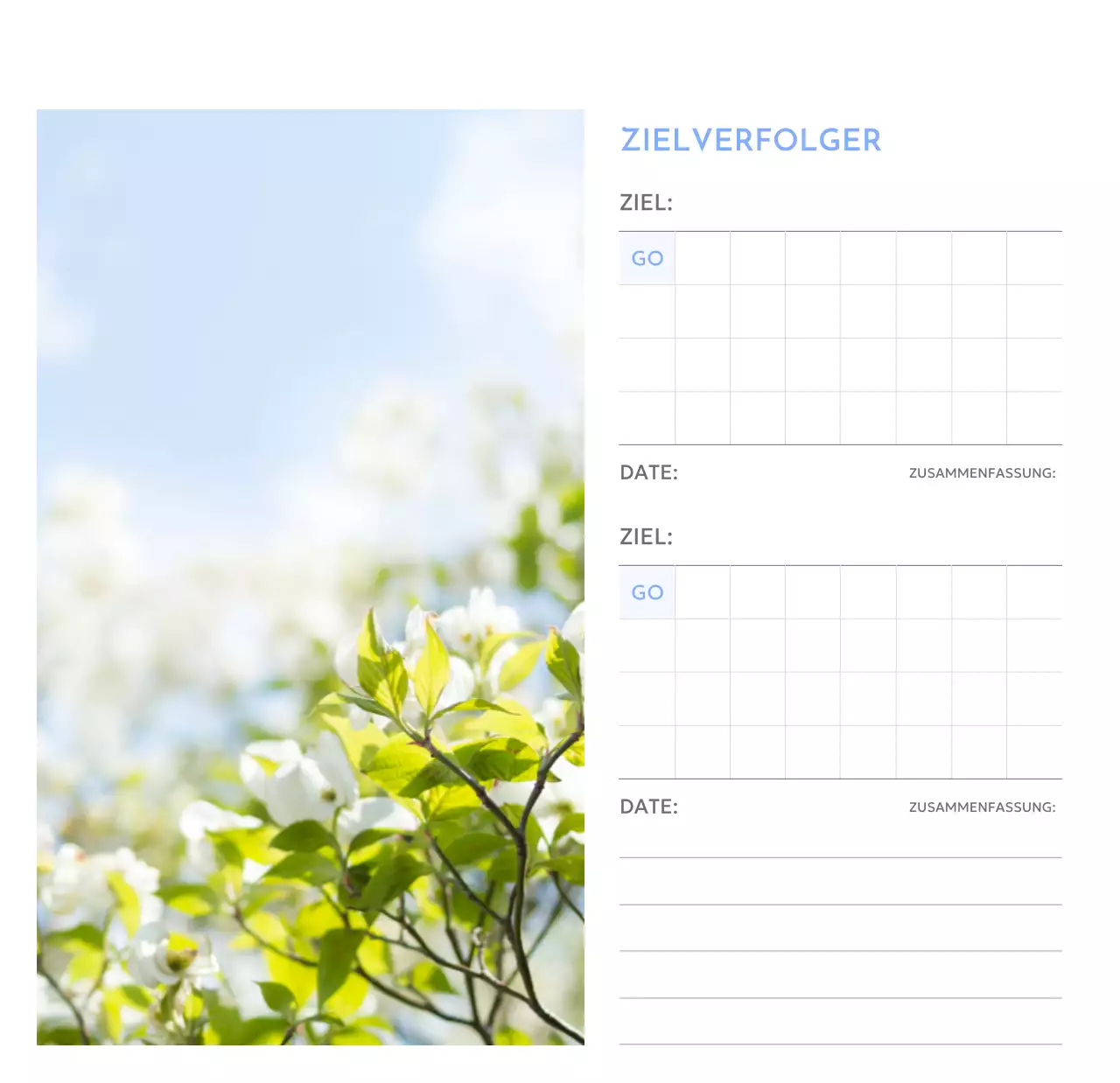 Foto-Zielverfolgungskalender mit einem Hauch von Blau