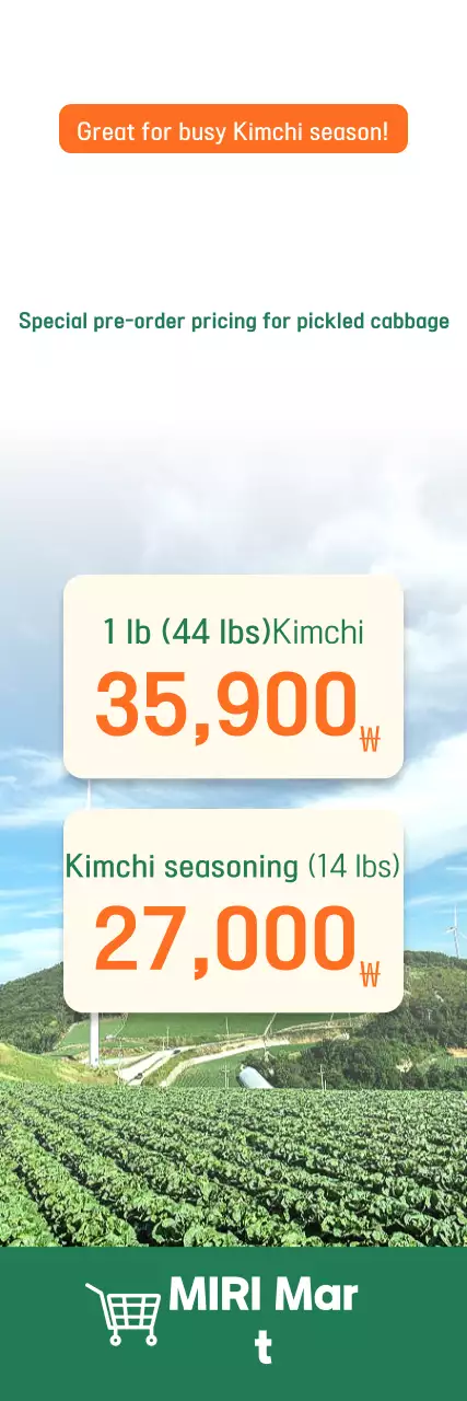 Guide to Green Neat Pickled Cabbage