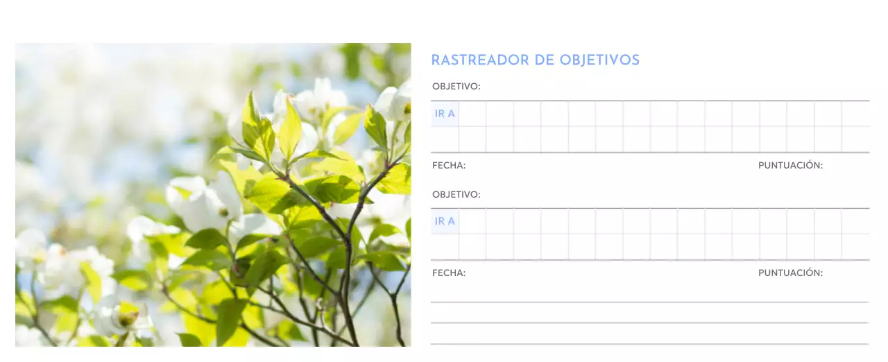 Calendario fotográfico de seguimiento de objetivos con un toque de azul
