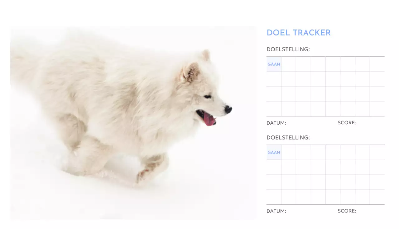 Photo goal tracker kalender met een vleugje blauw