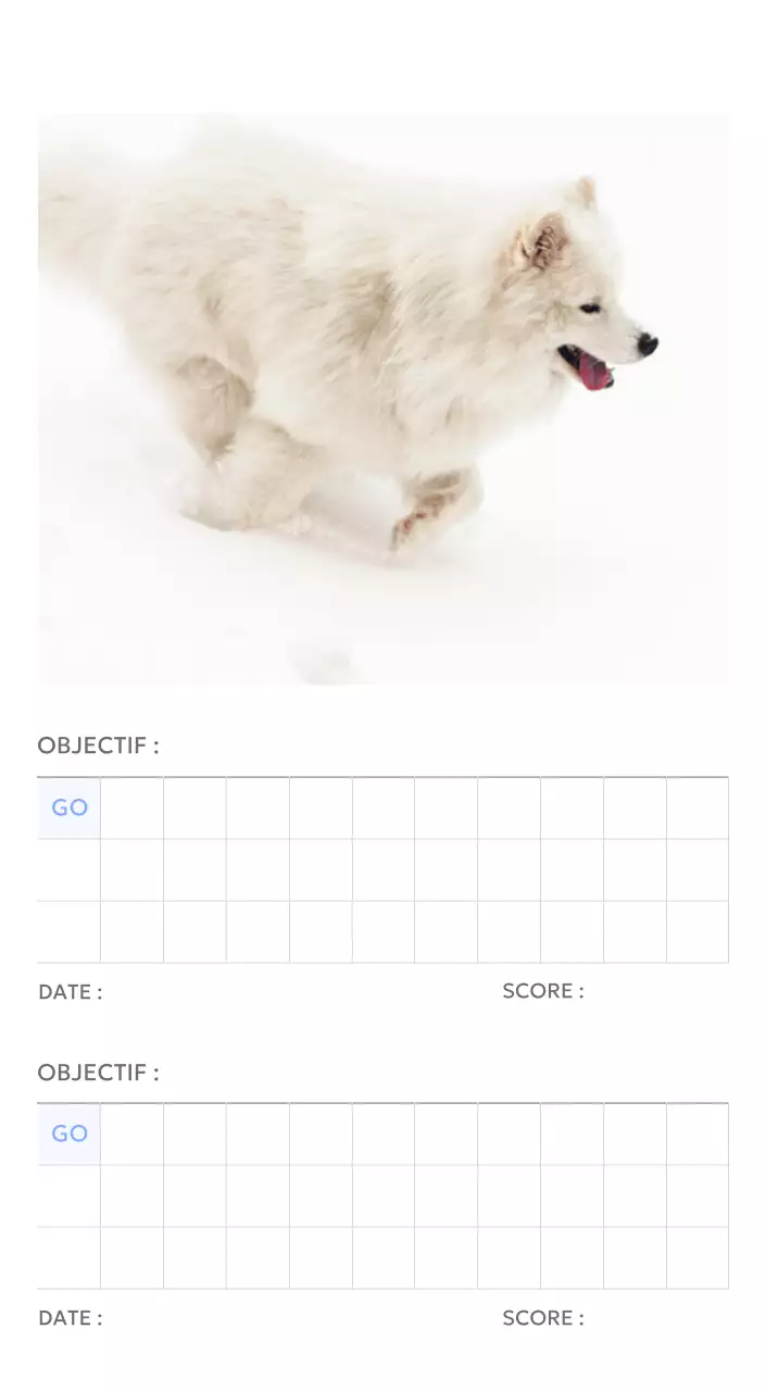 Calendrier photo de suivi des objectifs avec une touche de bleu