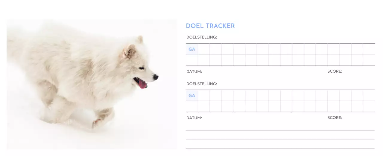 Photo goal tracker kalender met een vleugje blauw