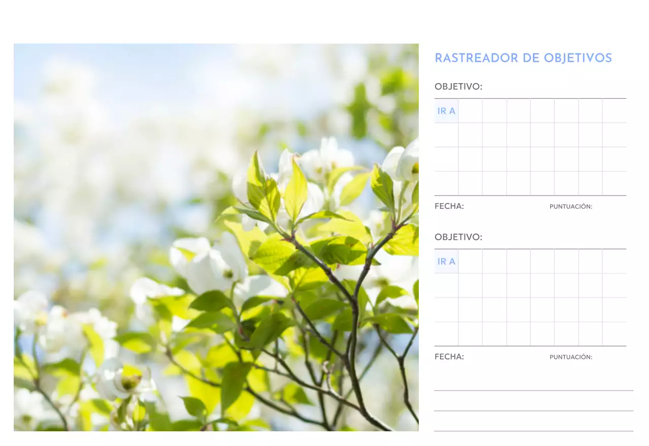 Calendario fotográfico de seguimiento de objetivos con un toque de azul