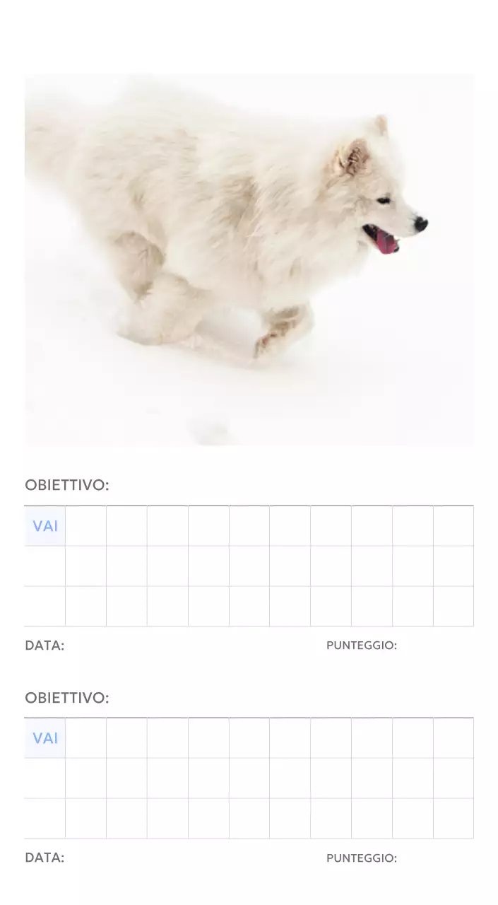 Calendario con foto tracciatore di obiettivi con un tocco di blu