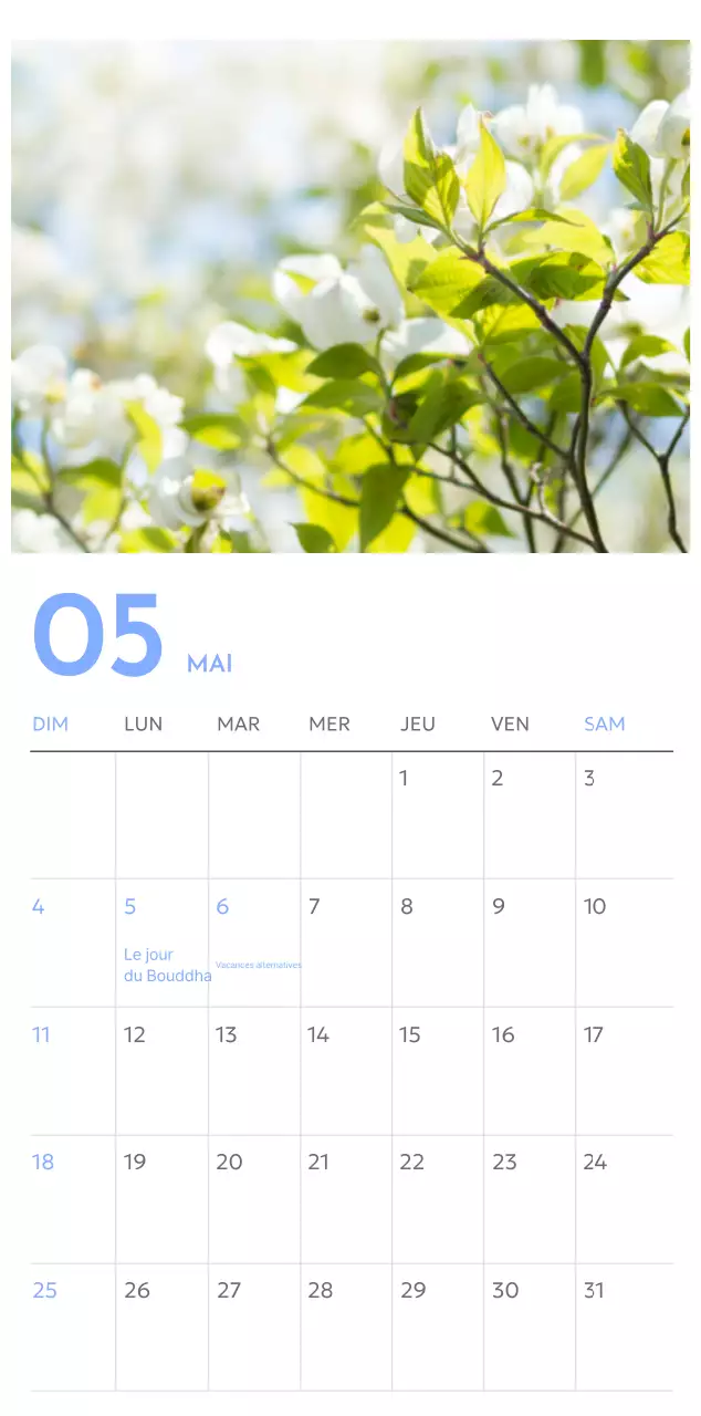 Calendrier photo de suivi des objectifs avec une touche de bleu