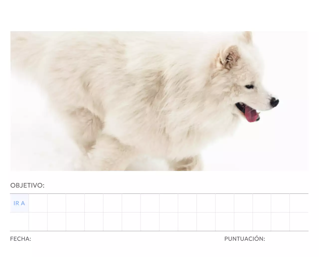 Calendario fotográfico de seguimiento de objetivos con un toque de azul