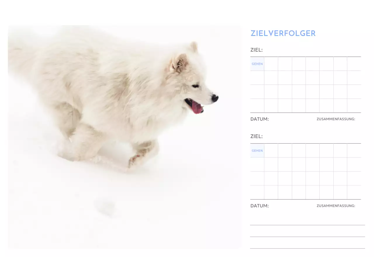 Foto-Zielverfolgungskalender mit einem Hauch von Blau