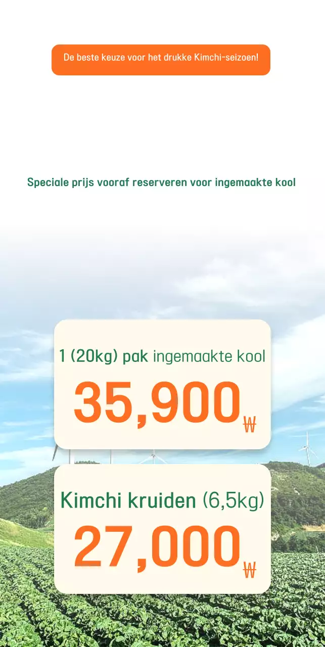 Gids voor groene ingemaakte kool