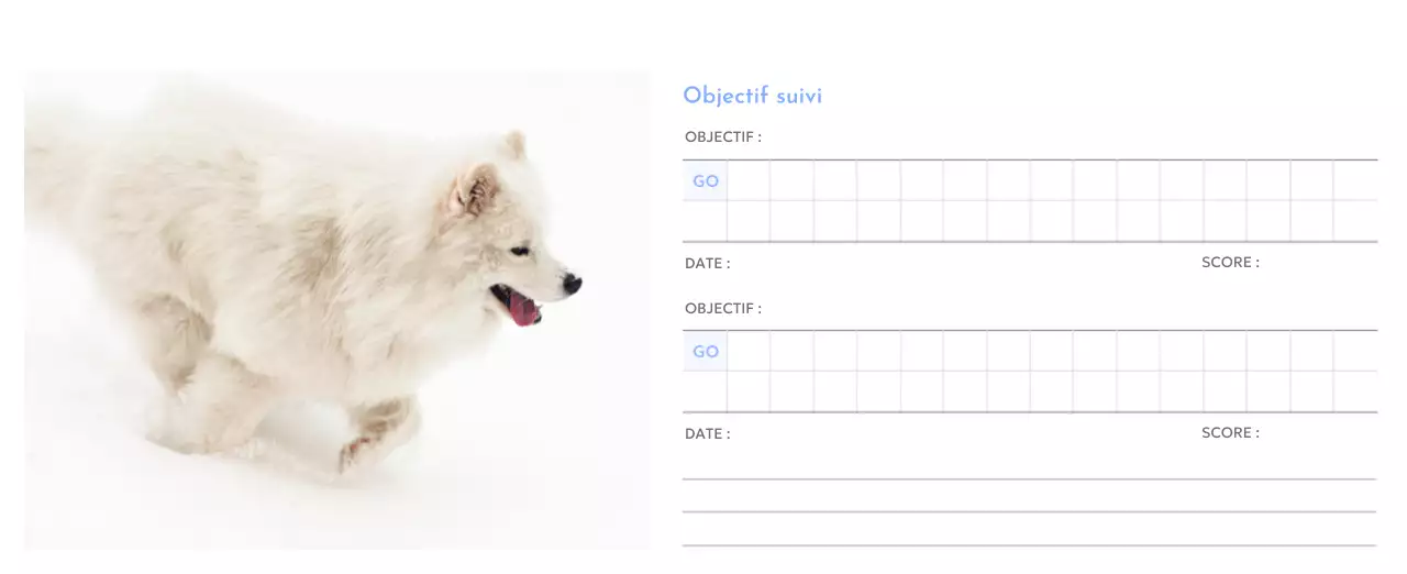 Calendrier photo de suivi des objectifs avec une touche de bleu