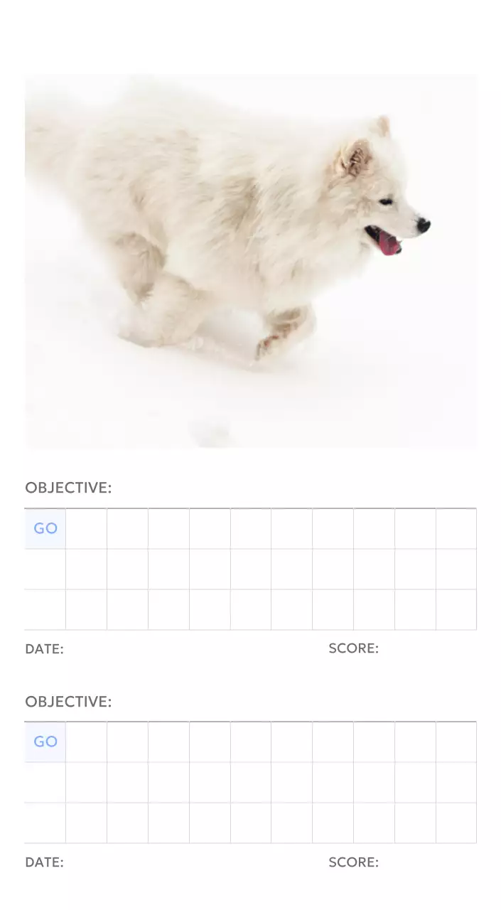 Photo goal tracker calendar with a splash of blue