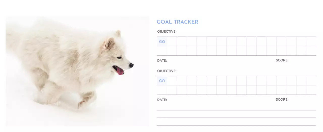 Photo goal tracker calendar with a splash of blue