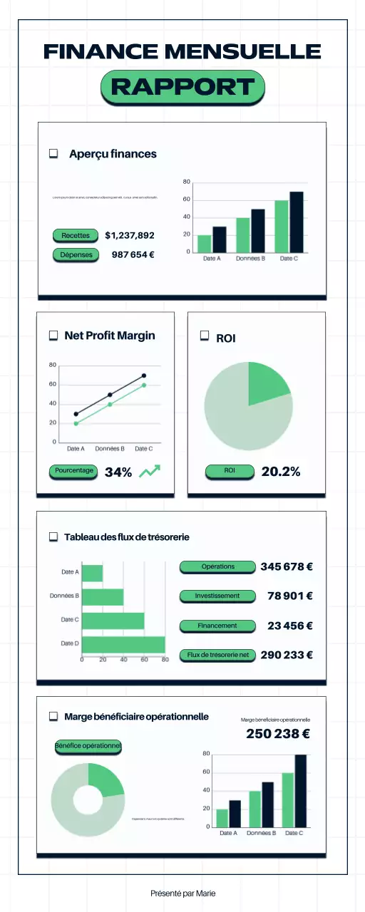 Rapport financier de l'entreprise moderne verte