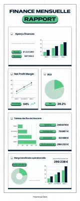 Rapport financier de l'entreprise moderne verte