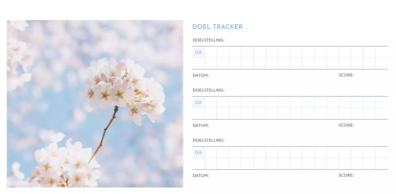 Photo goal tracker kalender met een vleugje blauw