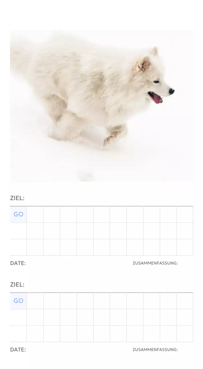 Foto-Zielverfolgungskalender mit einem Hauch von Blau