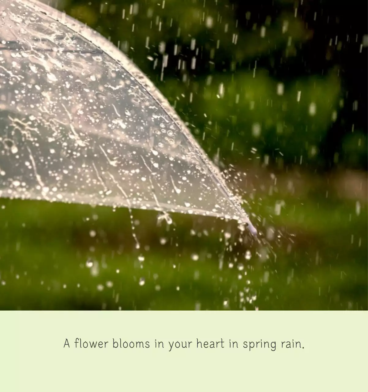 White clean botanical nature calendar