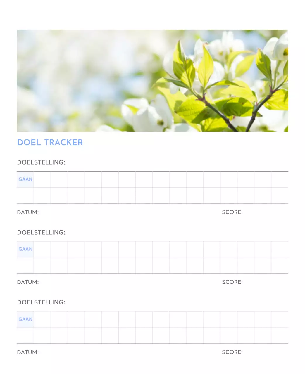 Photo goal tracker kalender met een vleugje blauw