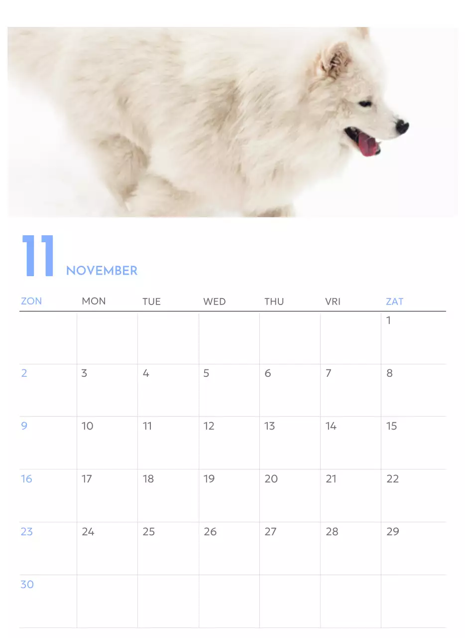 Photo goal tracker kalender met een vleugje blauw