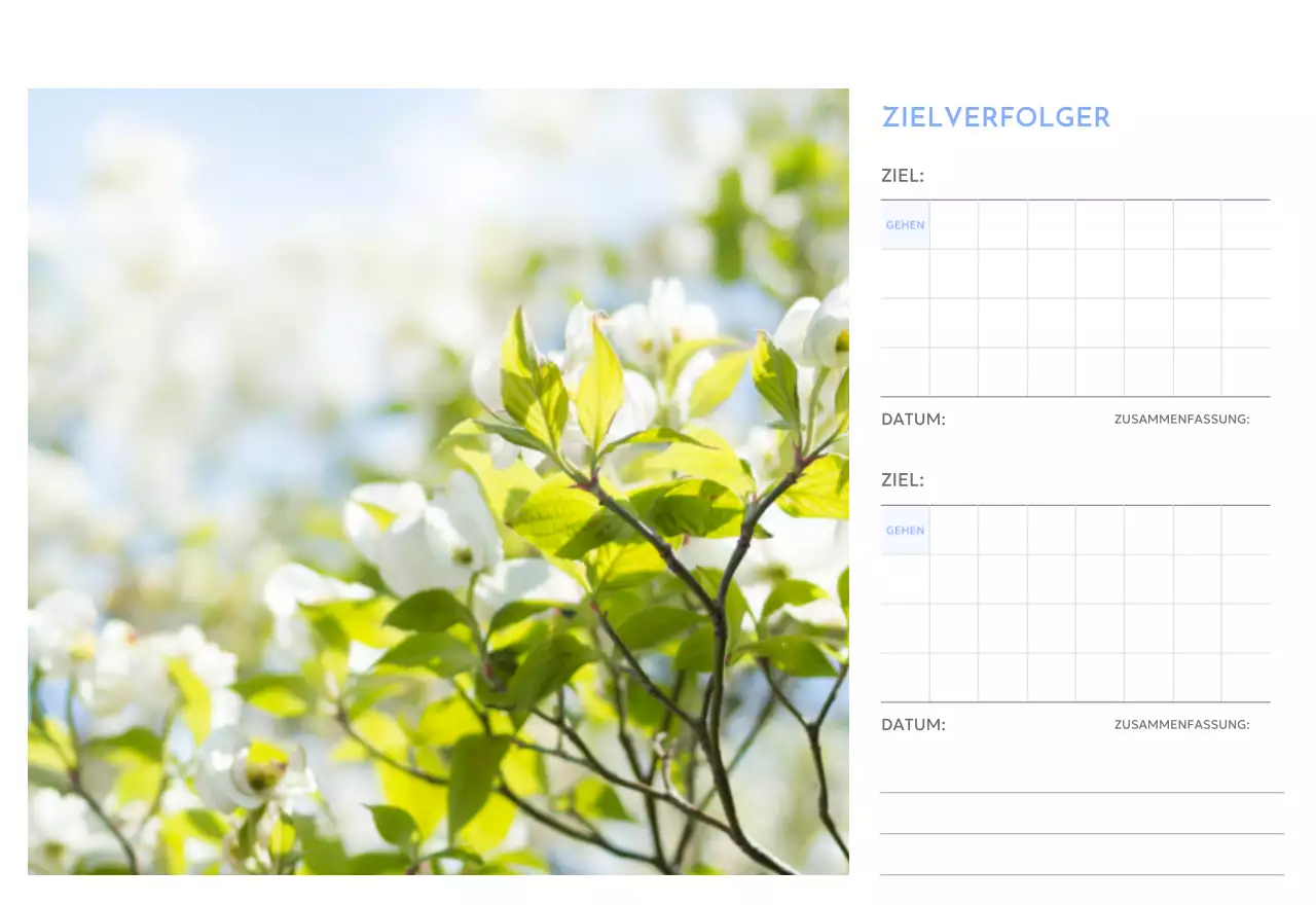 Foto-Zielverfolgungskalender mit einem Hauch von Blau
