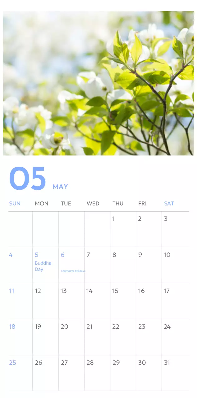 Photo goal tracker calendar with a splash of blue