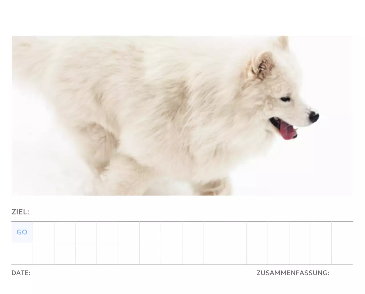 Foto-Zielverfolgungskalender mit einem Hauch von Blau