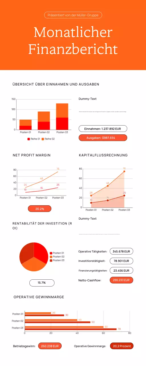 GESCHÄFTLICHER MONATLICHER FINANZBERICHT GRAFIK DIAGRAMM ANALYSE INFOGRAFIK