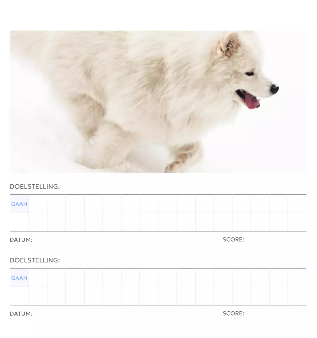 Photo goal tracker kalender met een vleugje blauw