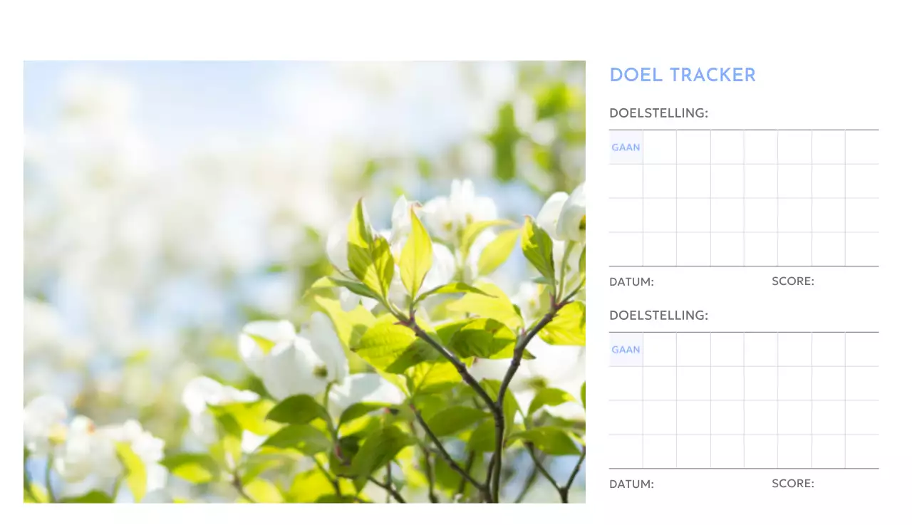 Photo goal tracker kalender met een vleugje blauw