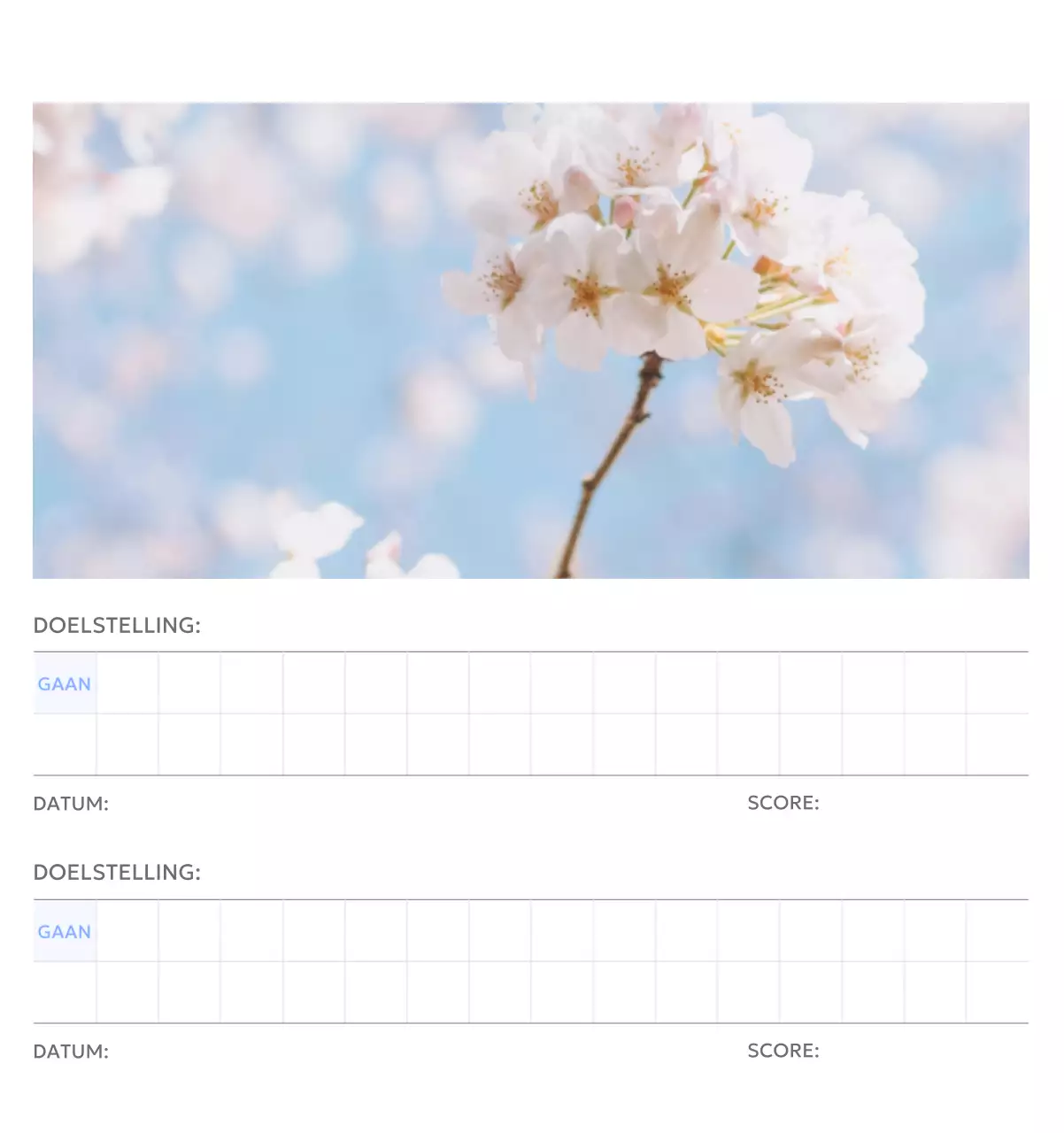 Photo goal tracker kalender met een vleugje blauw