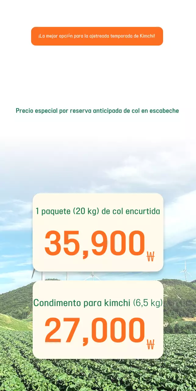 Guía de la col verde en escabeche