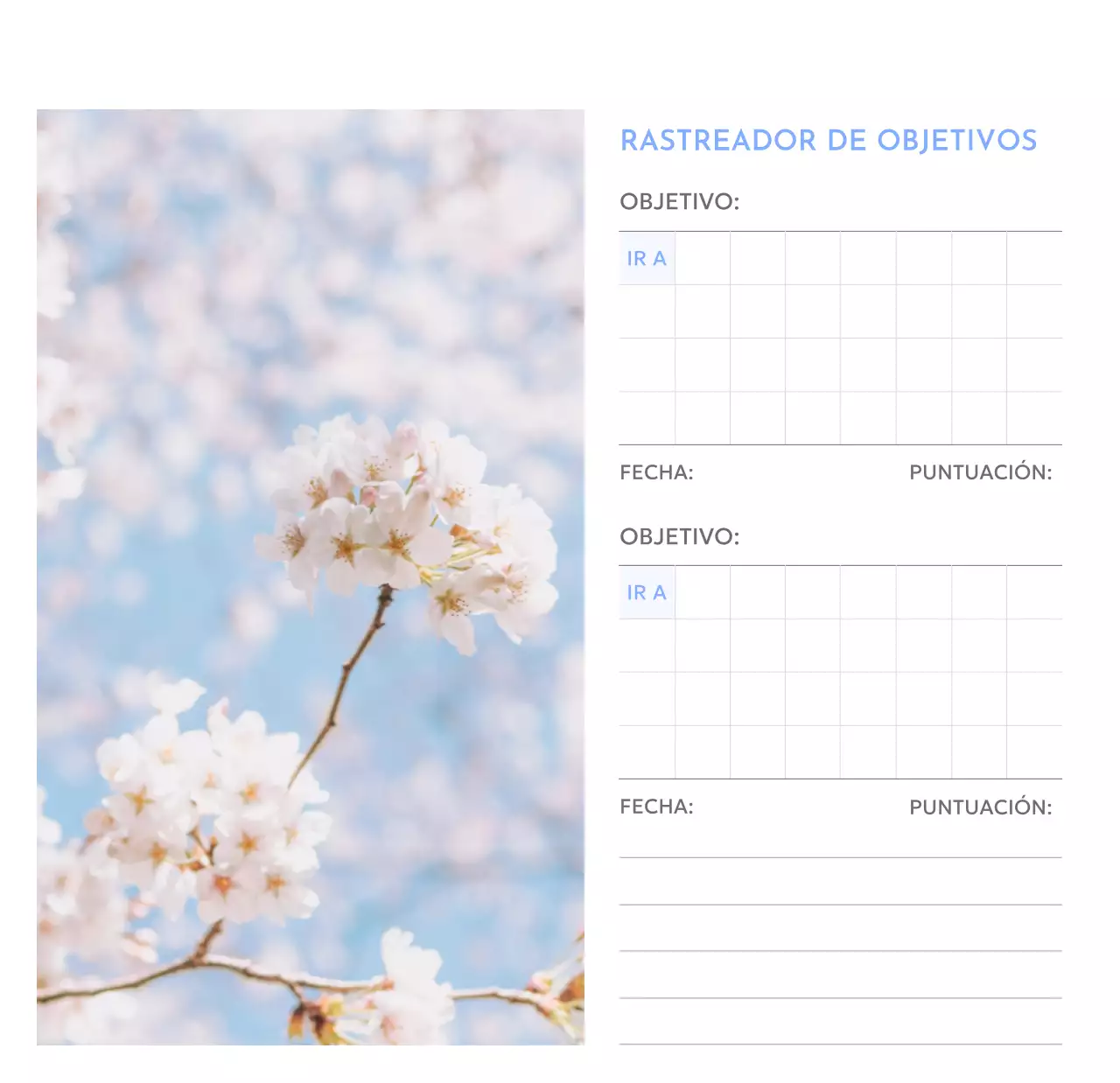 Calendario fotográfico de seguimiento de objetivos con un toque de azul