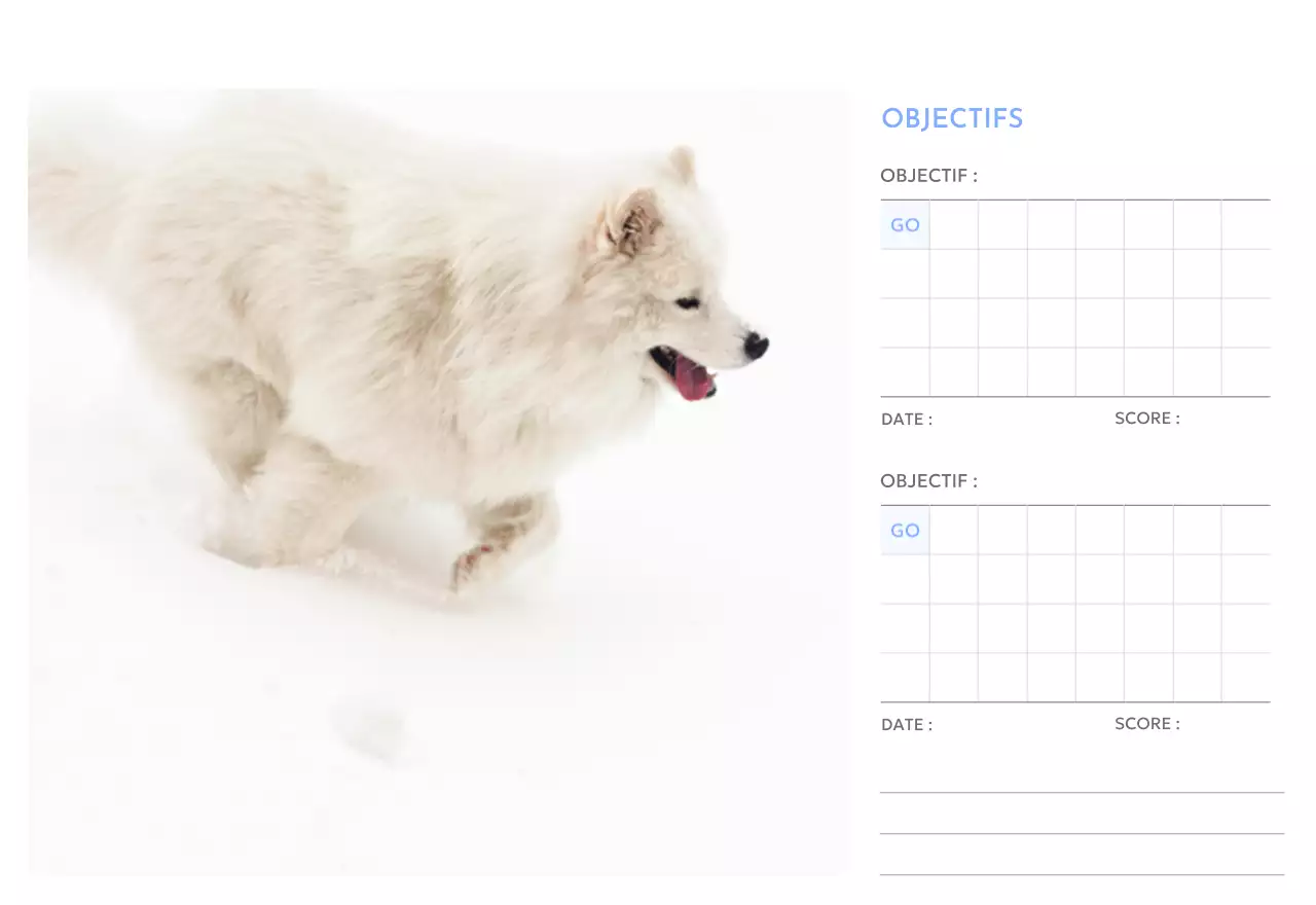 Calendrier photo de suivi des objectifs avec une touche de bleu