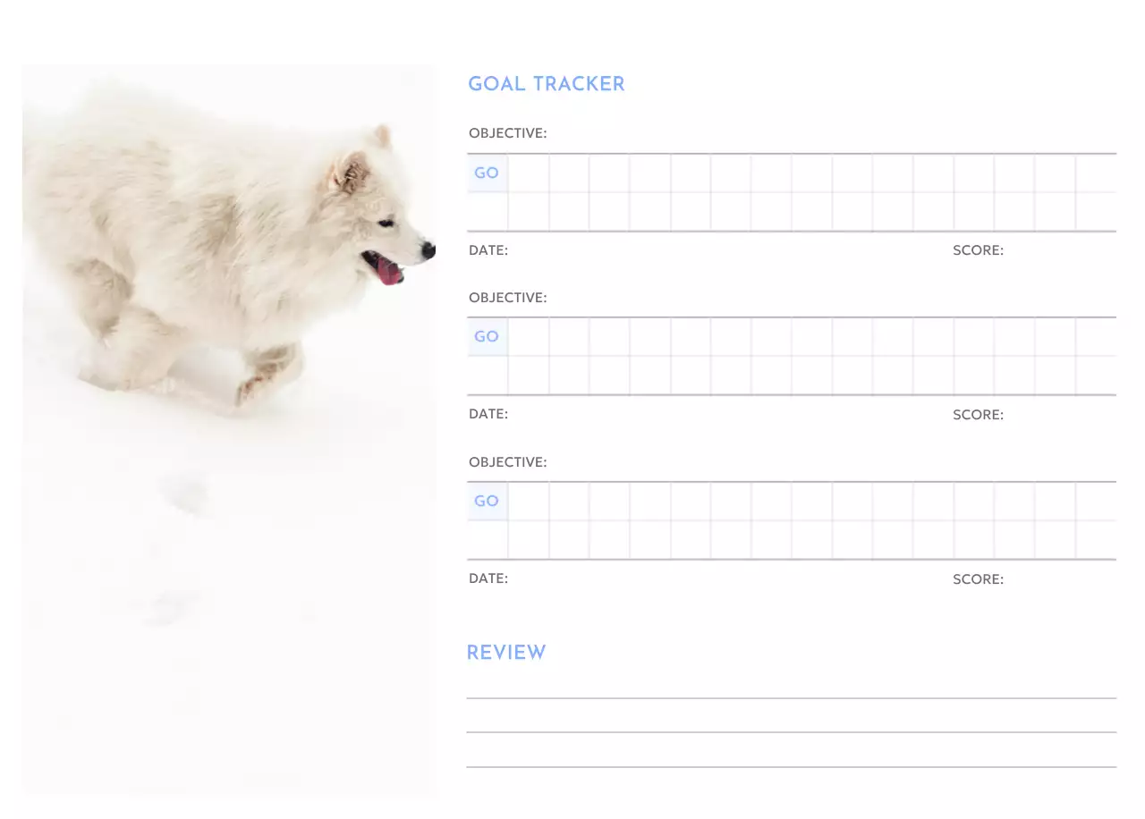 Photo goal tracker calendar with a splash of blue