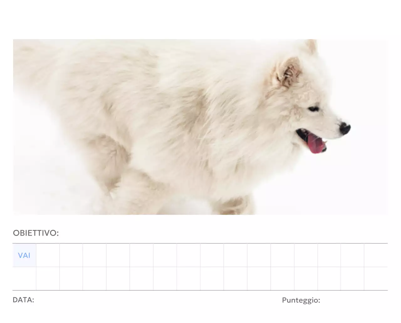 Calendario con foto tracciatore di obiettivi con un tocco di blu