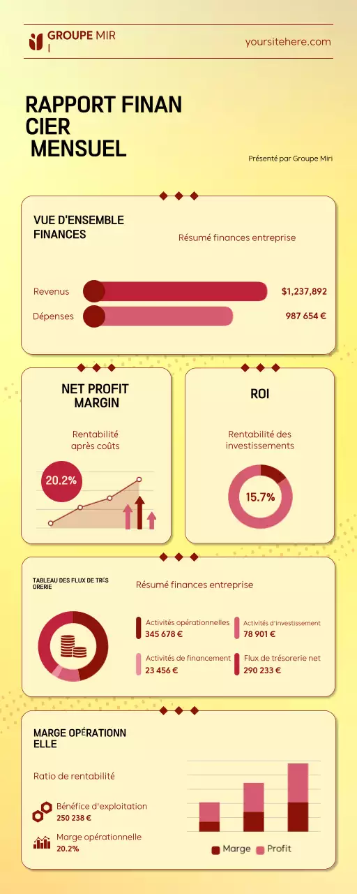 Rapport financier mensuel de Yellow Professional