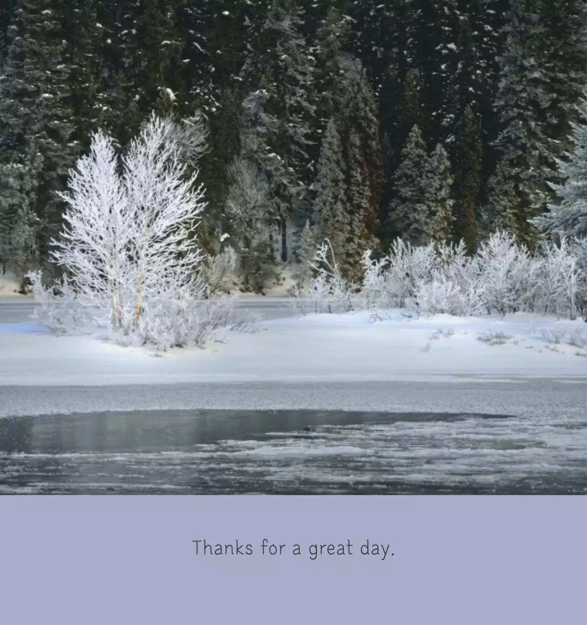 White clean botanical nature calendar