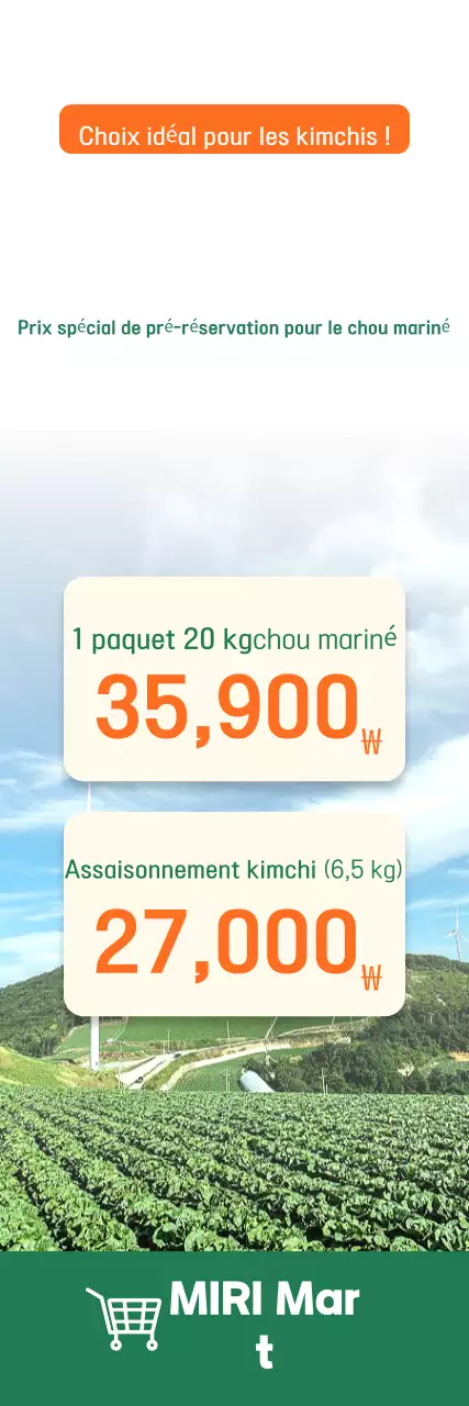 Guide du chou vert mariné