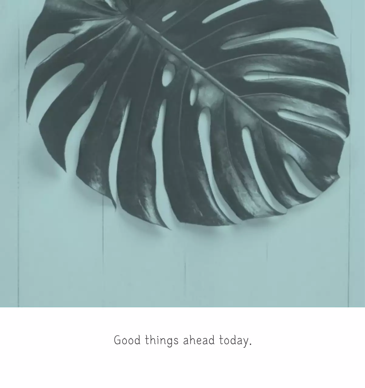 White clean botanical nature calendar