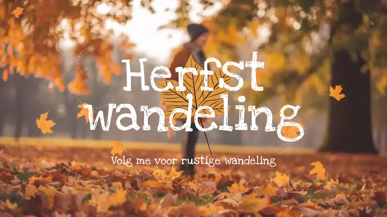 oranje herfstwandeling vlog