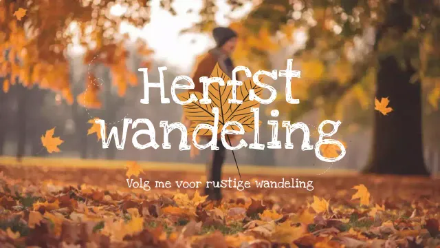 oranje herfstwandeling vlog