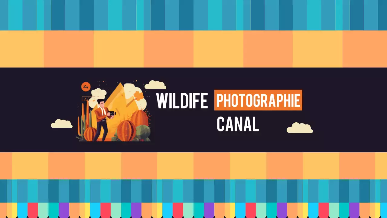 orange retro photographie youtube channel art