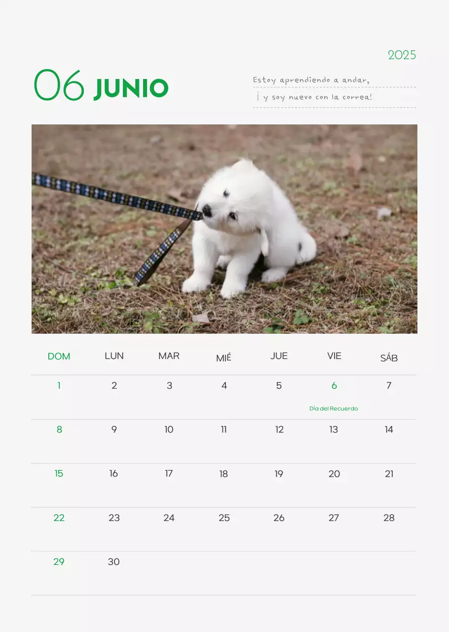 Calendario Abstracto Simple Animal