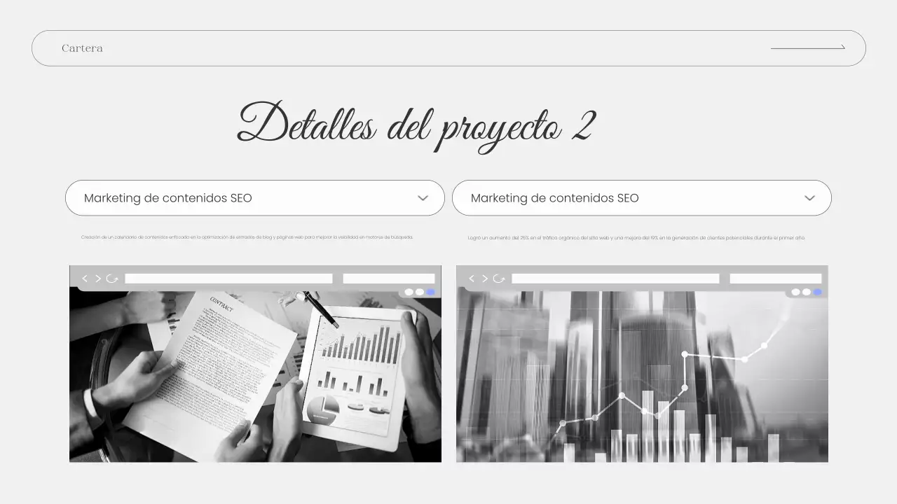 presentación de la cartera grey modern