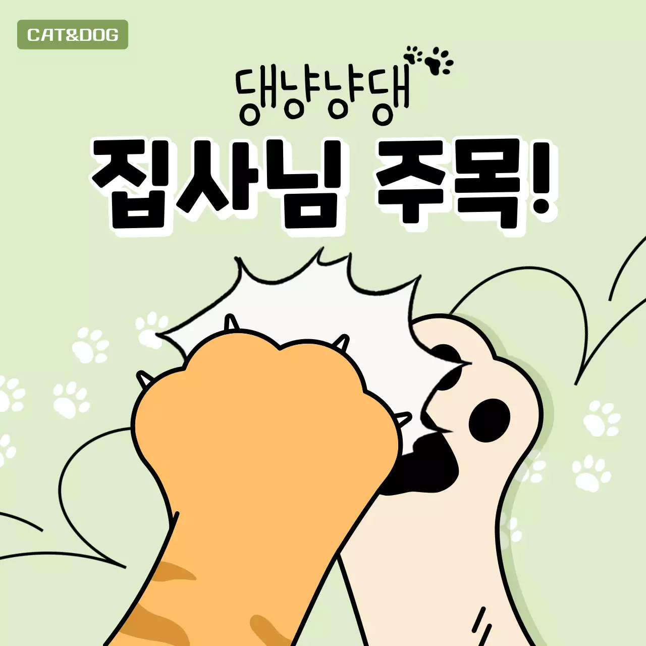 민트 귀여운 반려동물 광고