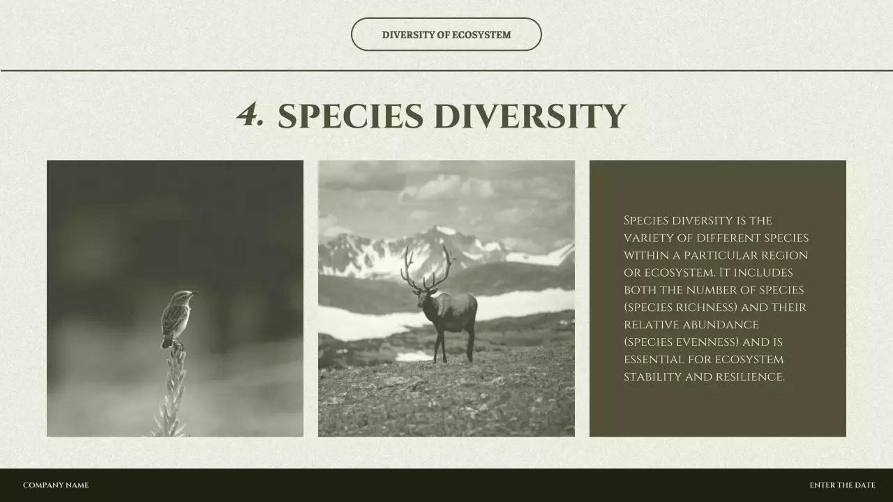 Green Minimal Biodiversity Presentation