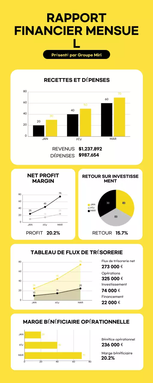 Infographie moderne et minimaliste sur les rapports financiers mensuels