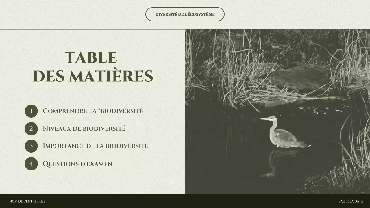 Présentation de l'écosystème minimal de Sage