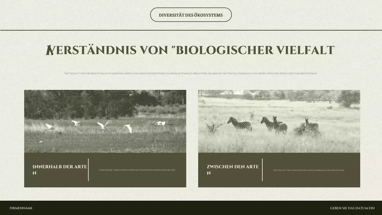 Salbei-Minimalökosystem-Präsentation